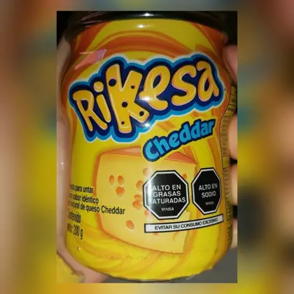 Rikesa